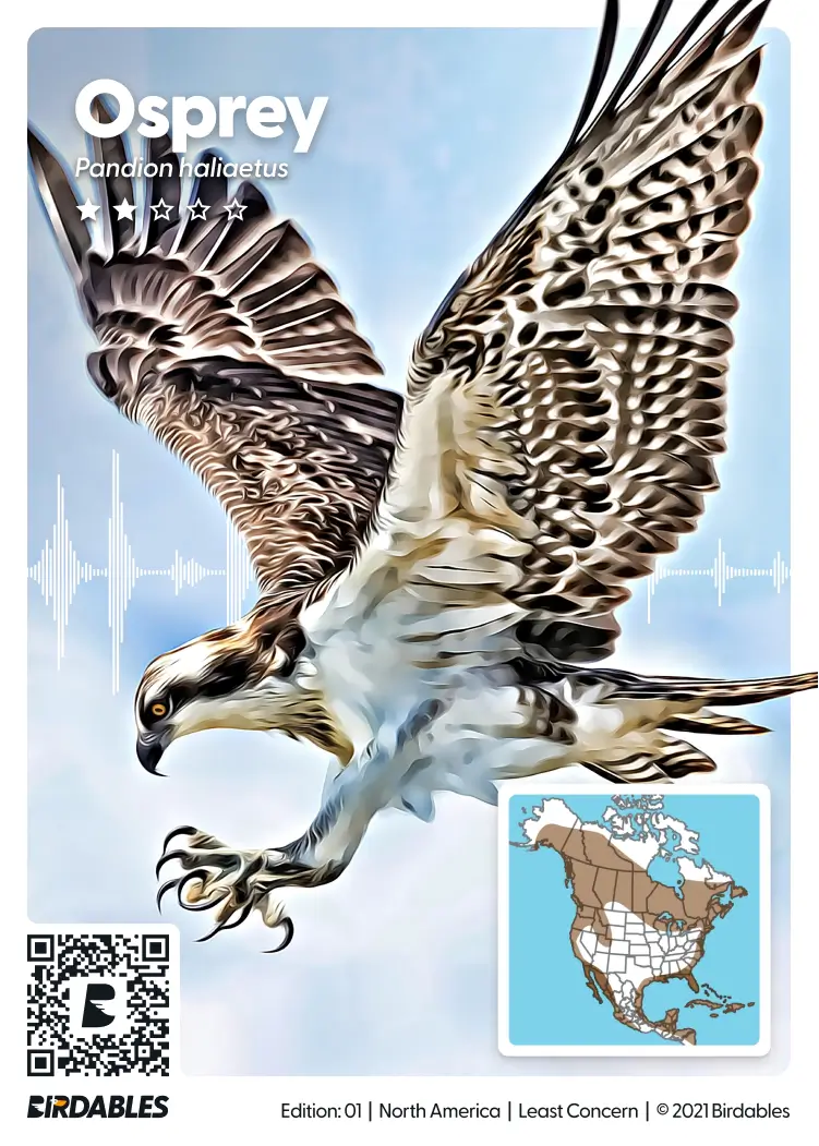 Osprey card